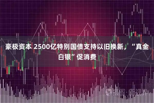豪极资本 2500亿特别国债支持以旧换新，“真金白银”促消费