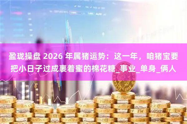 盈珑操盘 2026 年属猪运势:这一年,咱猪宝要把小日子过成裹着蜜的棉花糖_事业_单身_俩人