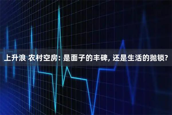 上升浪 农村空房: 是面子的丰碑, 还是生活的抛锁?