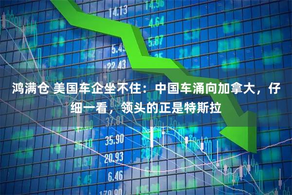 鸿满仓 美国车企坐不住：中国车涌向加拿大，仔细一看，领头的正是特斯拉
